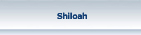 Gruppo Shiloah